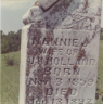 HOLLAND, Nannie J. (headstone)